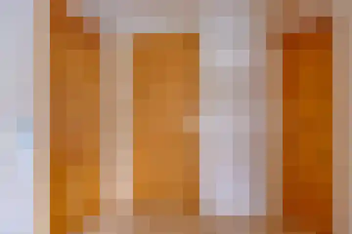Beukenlaan 7 Dronten thumbnail 22