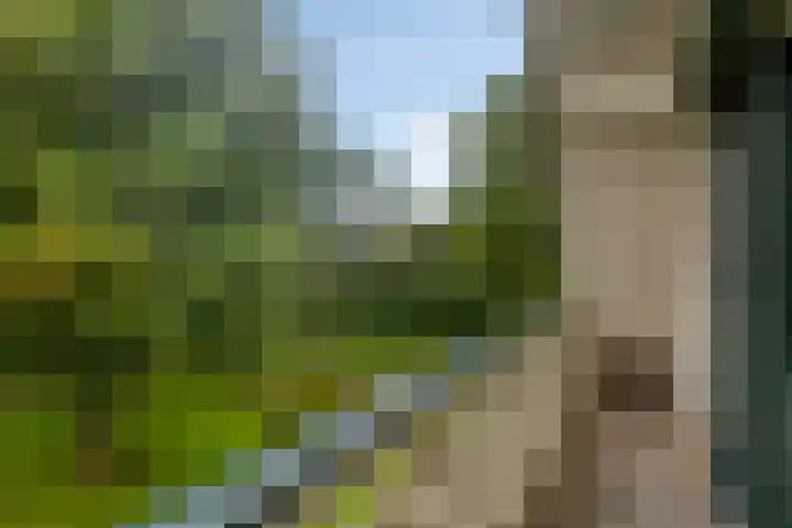 Beukenlaan 7 Dronten thumbnail 25