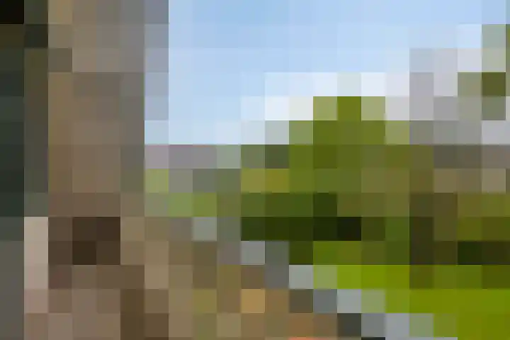 Beukenlaan 7 Dronten thumbnail 26