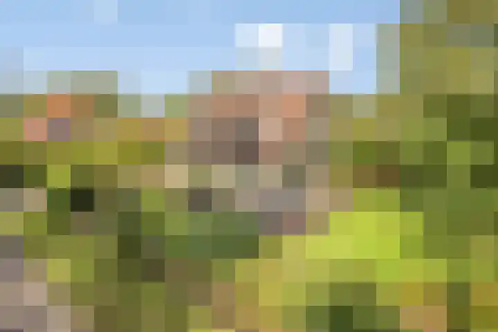 Beukenlaan 7 Dronten thumbnail 33