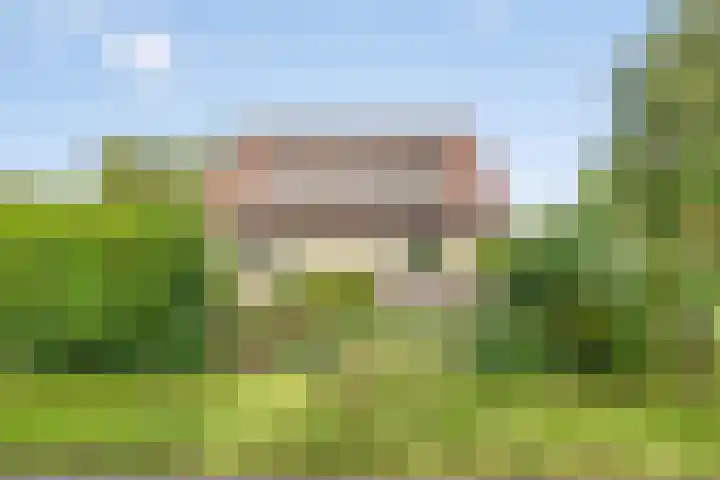 Beukenlaan 7 Dronten thumbnail 34