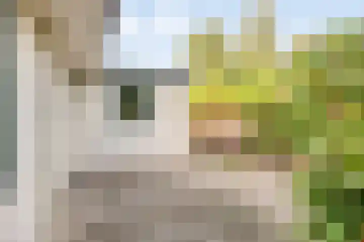 Beukenlaan 7 Dronten thumbnail 35
