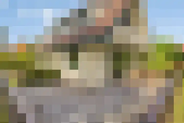Beukenlaan 7 Dronten thumbnail 36