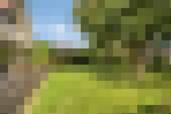 Beukenlaan 7 Dronten thumbnail 37