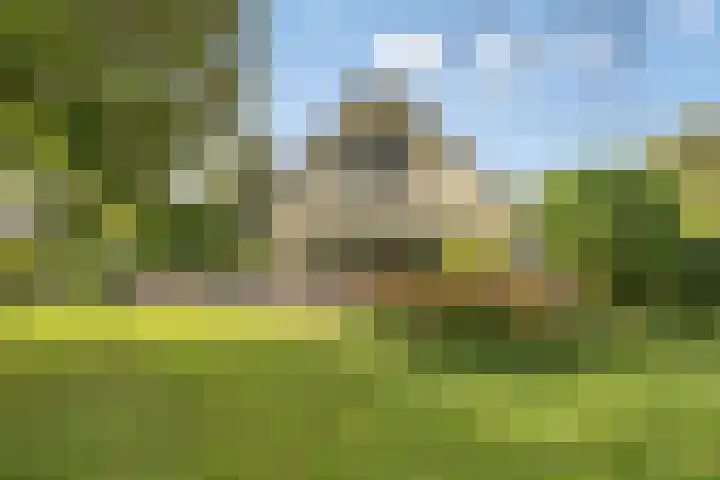 Beukenlaan 7 Dronten thumbnail 38