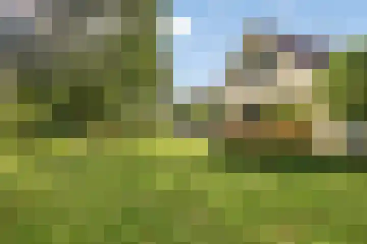 Beukenlaan 7 Dronten thumbnail 39