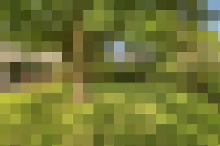 Beukenlaan 7 Dronten thumbnail 40