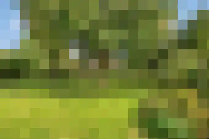 Beukenlaan 7 Dronten thumbnail 41