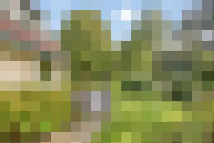 Beukenlaan 7 Dronten thumbnail 43