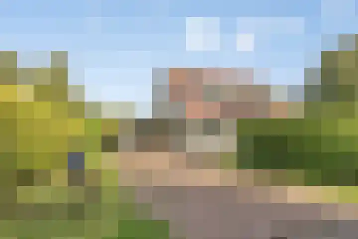 Beukenlaan 7 Dronten thumbnail 44