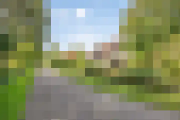 Beukenlaan 7 Dronten thumbnail 46