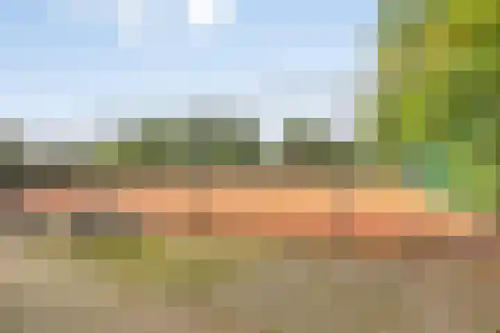 Beukenlaan 7 Dronten thumbnail 47