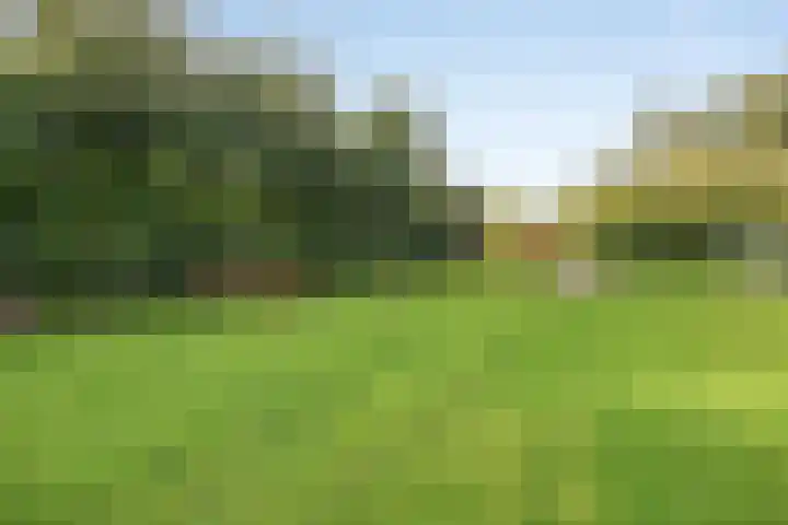 Beukenlaan 7 Dronten thumbnail 48