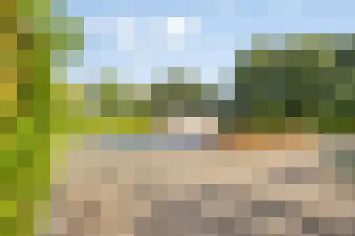 Beukenlaan 7 Dronten thumbnail 49