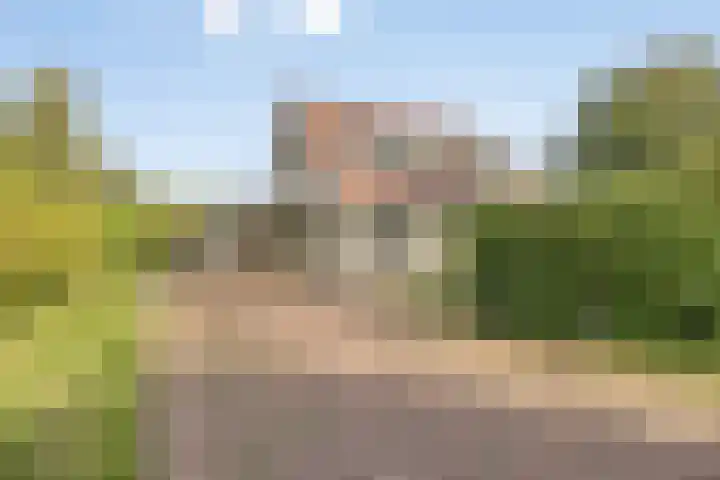 Beukenlaan 7 Dronten thumbnail 5