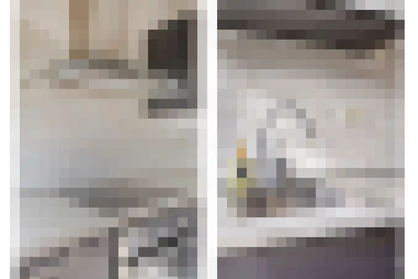 Beukenlaan 7 Etten-Leur thumbnail 21