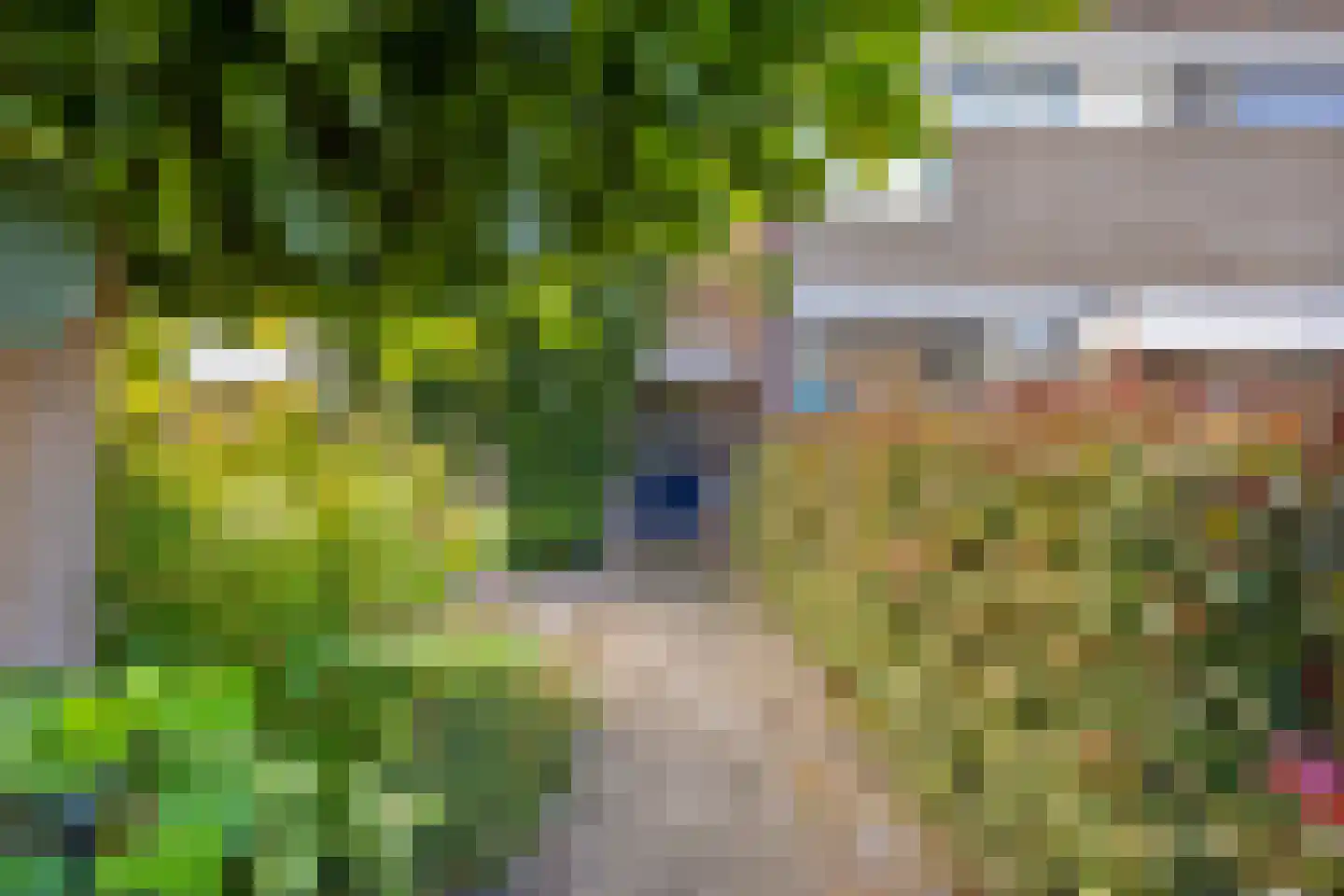 Beukenlaan 7 Etten-Leur thumbnail 8