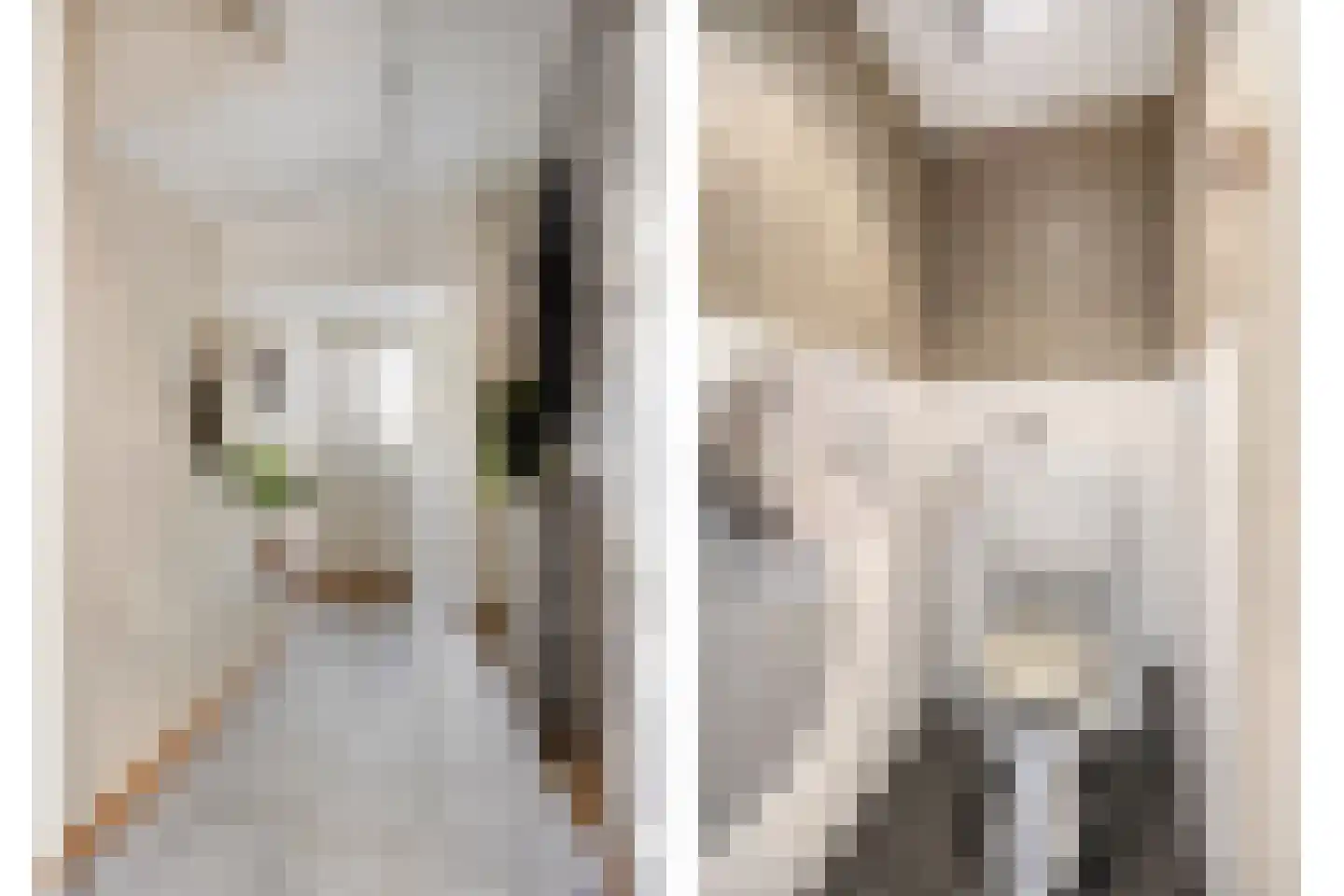 Beukenlaan 7 Etten-Leur thumbnail 9