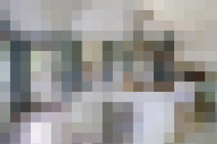 Beukenlaan 7 Fijnaart thumbnail 12