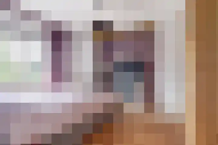 Beukenlaan 7 Fijnaart thumbnail 17