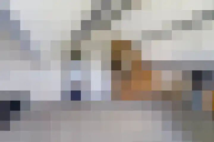 Beukenlaan 7 Fijnaart thumbnail 19