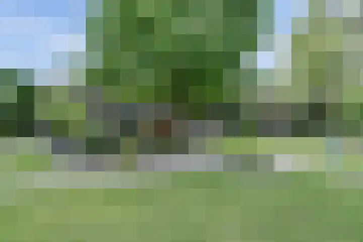 Beukenlaan 7 Fijnaart foto 2