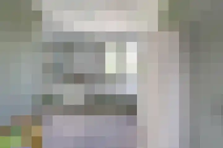 Beukenlaan 7 Fijnaart thumbnail 21