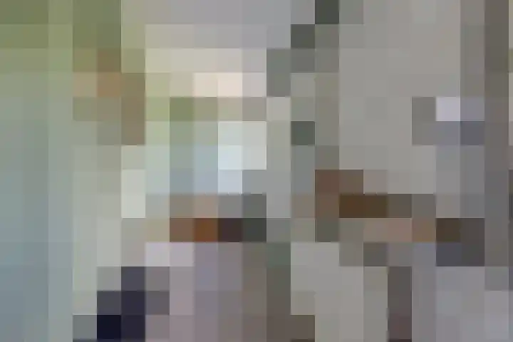Beukenlaan 7 Fijnaart thumbnail 22