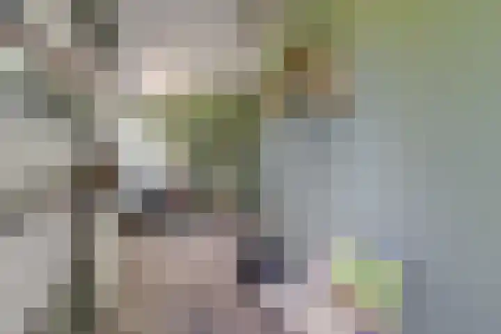Beukenlaan 7 Fijnaart thumbnail 23