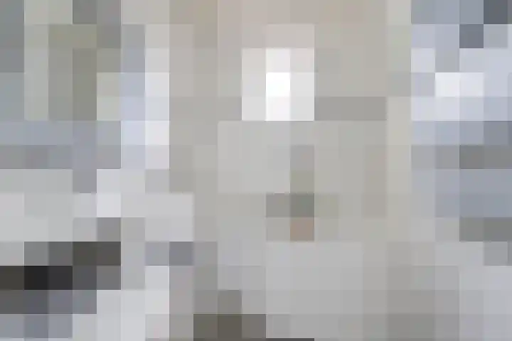 Beukenlaan 7 Fijnaart thumbnail 27