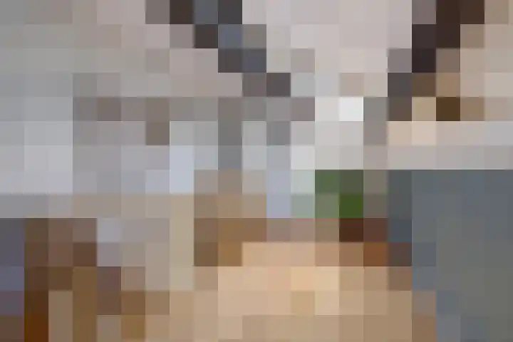 Beukenlaan 7 Fijnaart thumbnail 29