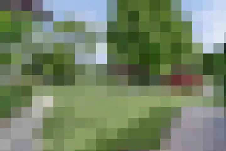 Beukenlaan 7 Fijnaart foto 3