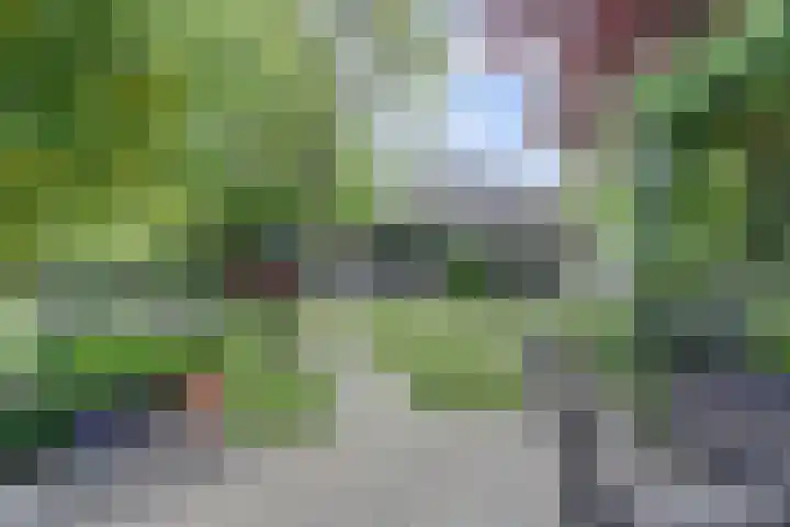 Beukenlaan 7 Fijnaart thumbnail 31