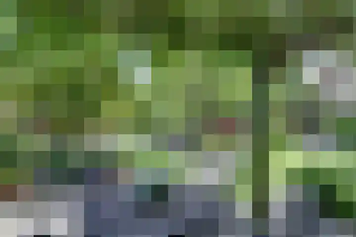 Beukenlaan 7 Fijnaart thumbnail 32