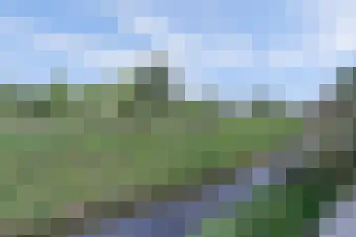 Beukenlaan 7 Fijnaart thumbnail 33