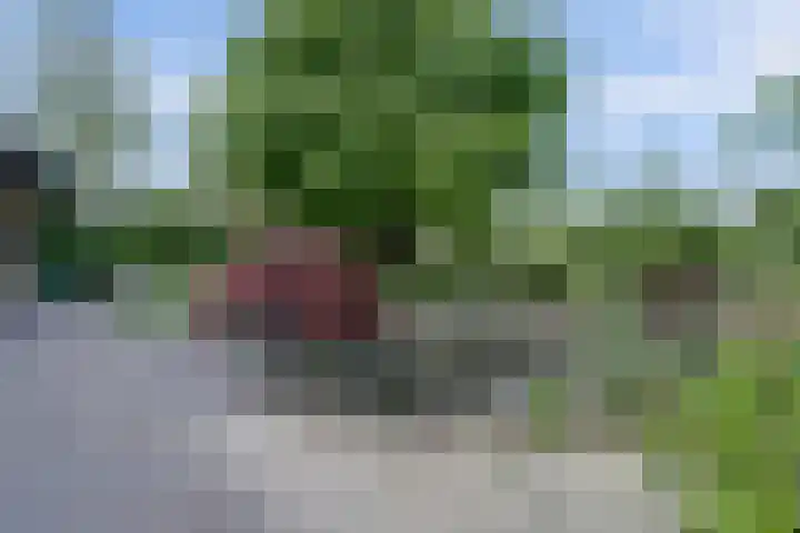 Beukenlaan 7 Fijnaart thumbnail 34