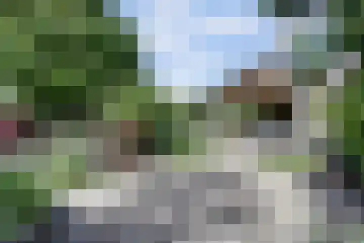 Beukenlaan 7 Fijnaart thumbnail 35