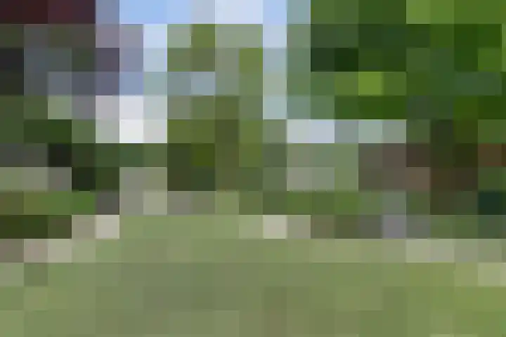 Beukenlaan 7 Fijnaart thumbnail 4