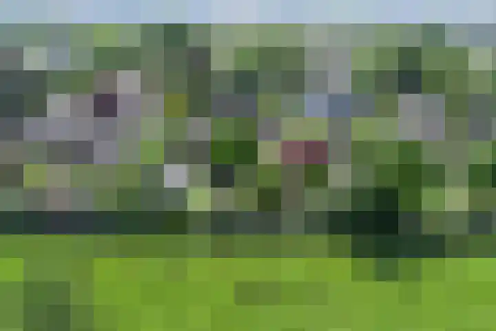 Beukenlaan 7 Fijnaart thumbnail 40
