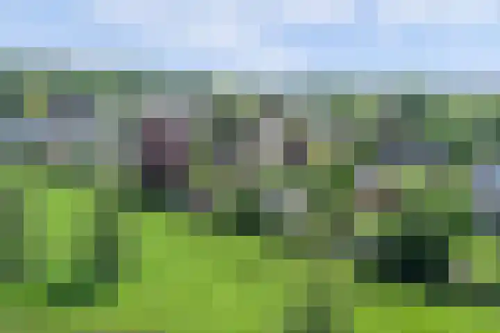 Beukenlaan 7 Fijnaart thumbnail 41