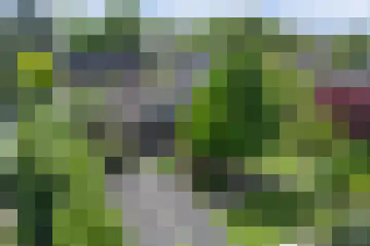 Beukenlaan 7 Fijnaart thumbnail 42