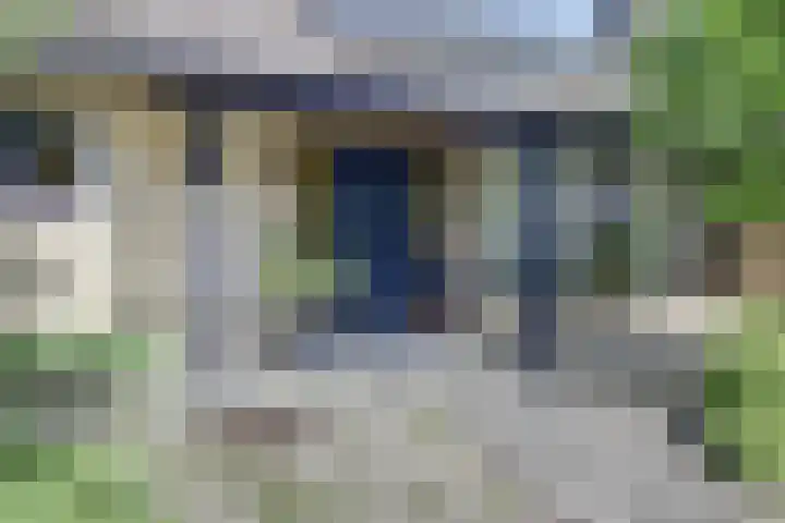 Beukenlaan 7 Fijnaart thumbnail 45