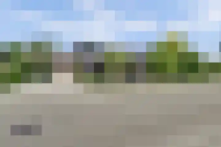Beukenlaan 7 Fijnaart thumbnail 46