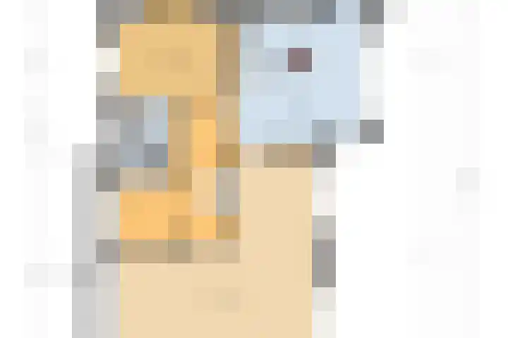Beukenlaan 7 Fijnaart thumbnail 47
