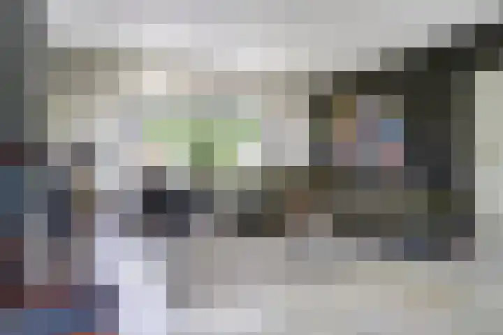 Beukenlaan 7 Fijnaart thumbnail 5