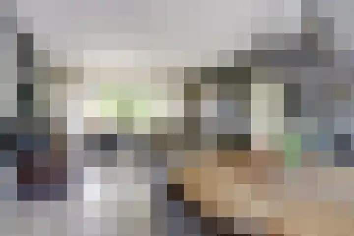 Beukenlaan 7 Fijnaart thumbnail 7