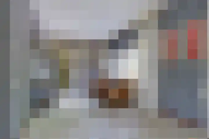 Beukenlaan 7 Fijnaart thumbnail 8