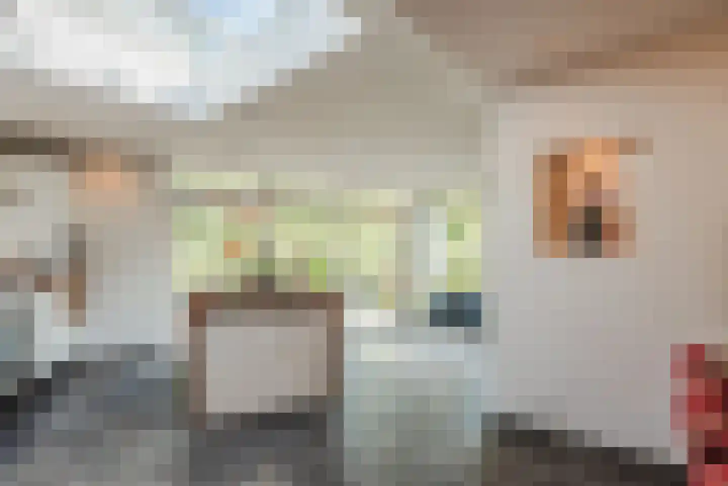 Beukenlaan 7 Harderwijk thumbnail 24