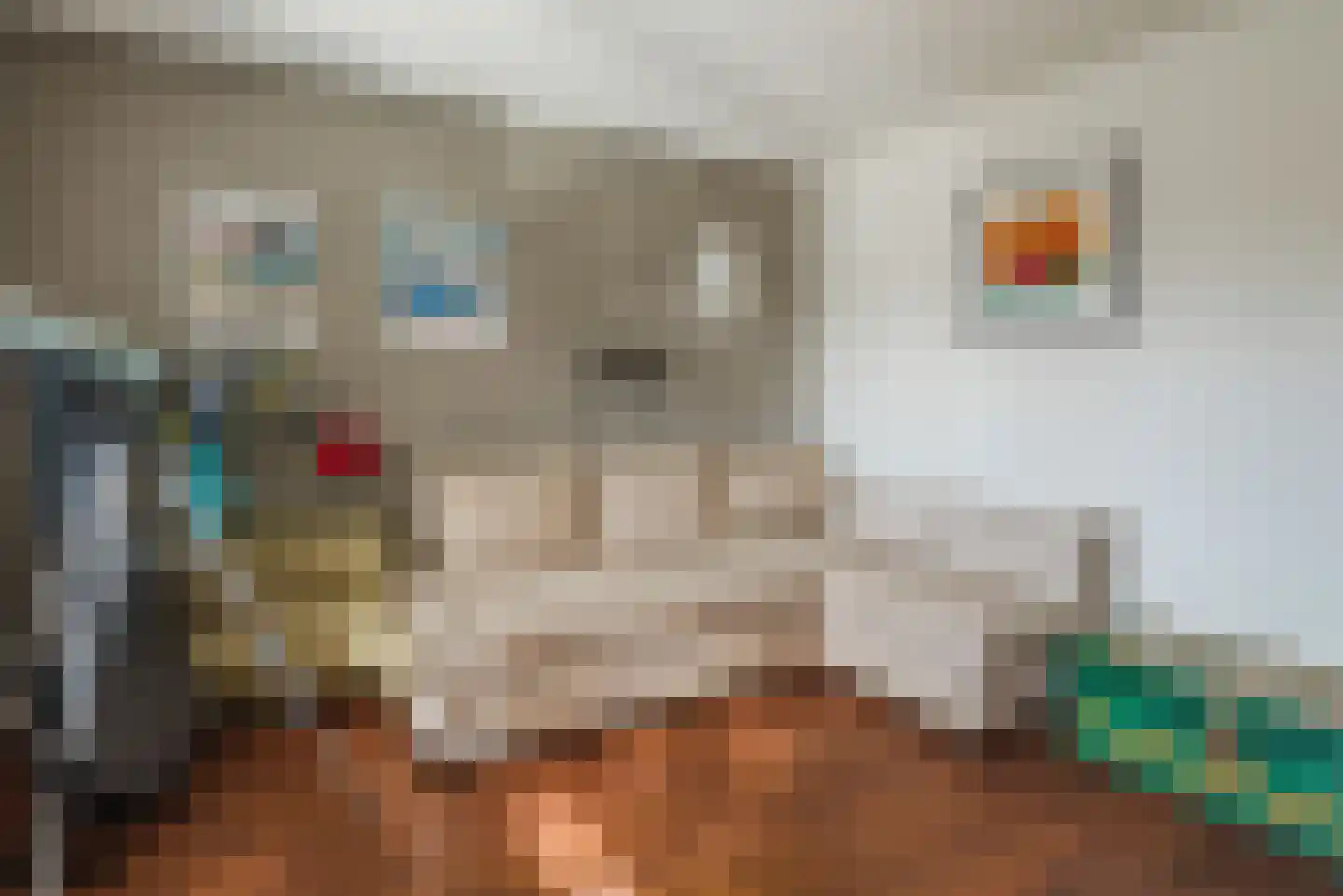 Beukenlaan 7 Harderwijk thumbnail 29