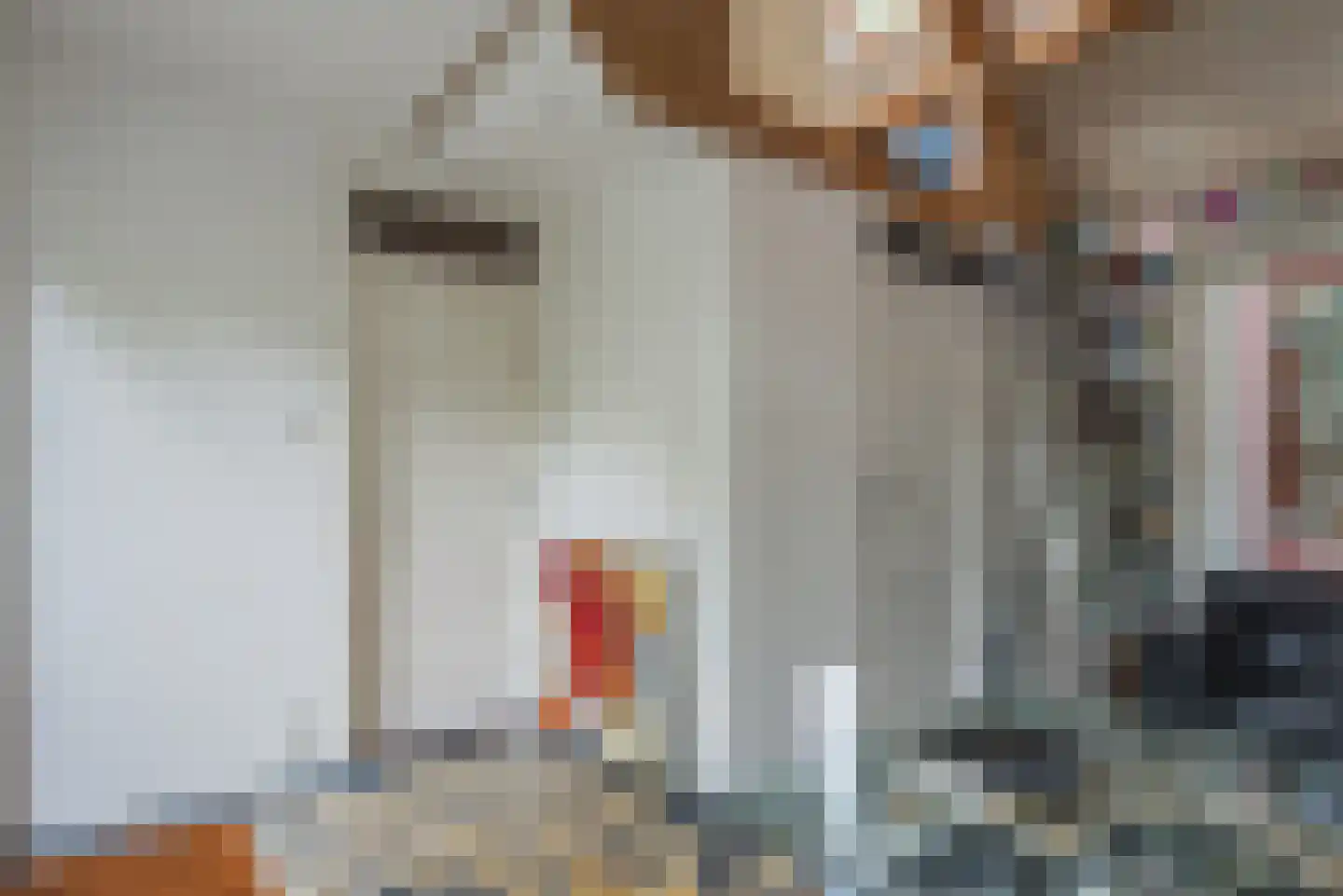 Beukenlaan 7 Harderwijk thumbnail 42